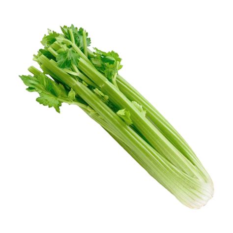 Celery Stalk