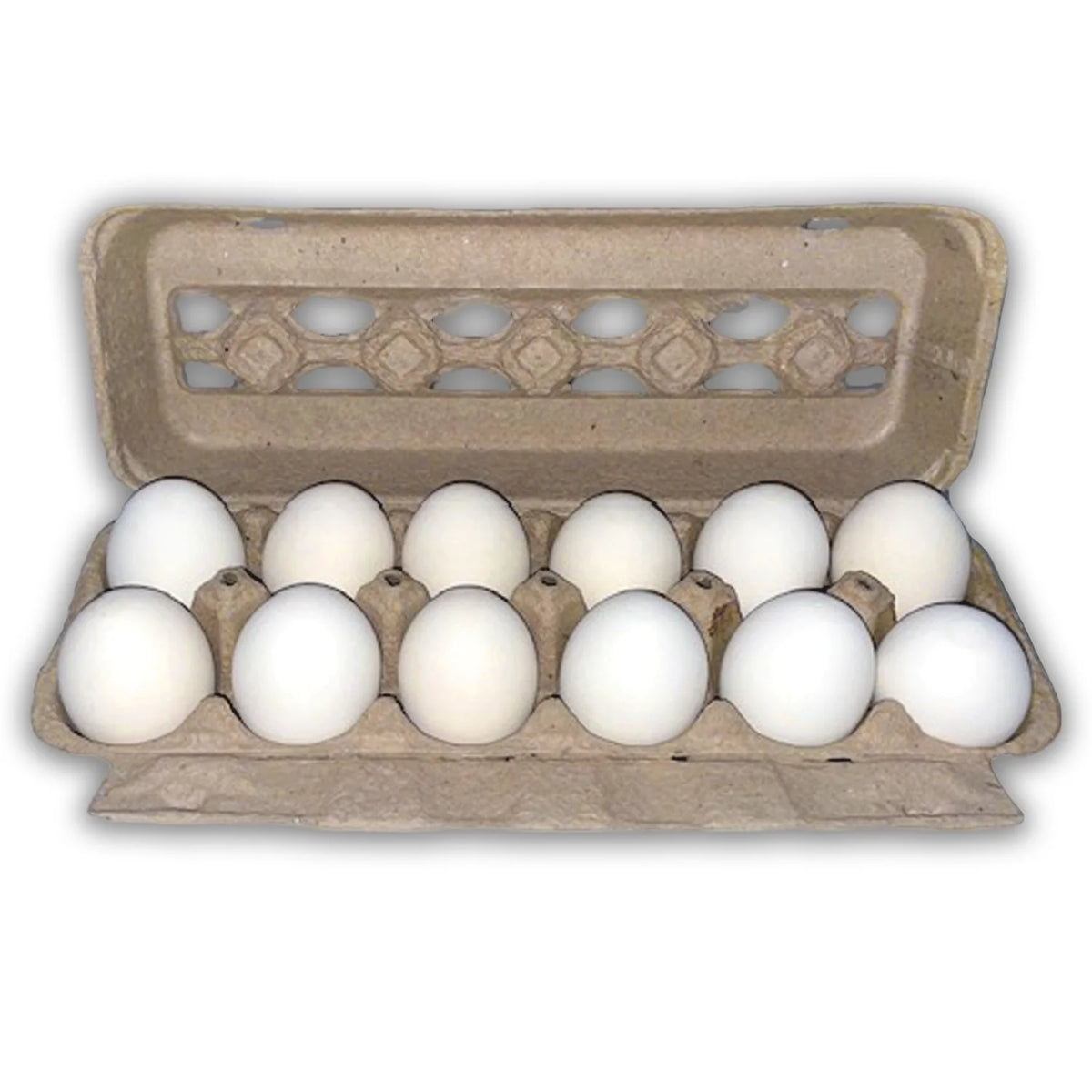 Extra Large eggs