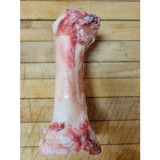 RAW Beef Center Cut Femur Dog Bone