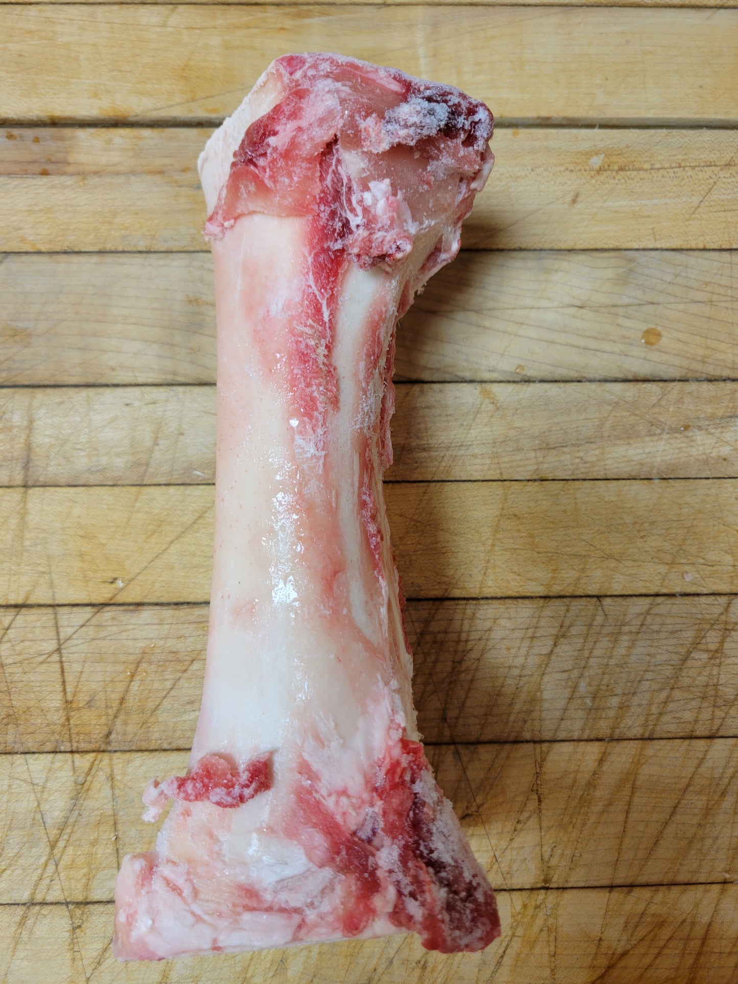 RAW Beef Center Cut Femur Dog Bone