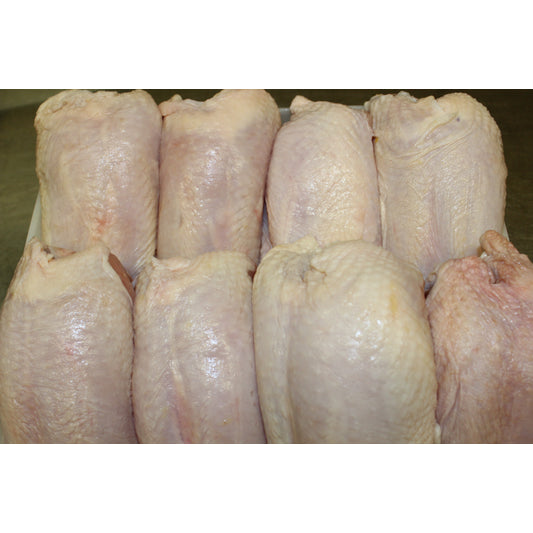 Bone in Chicken Breast