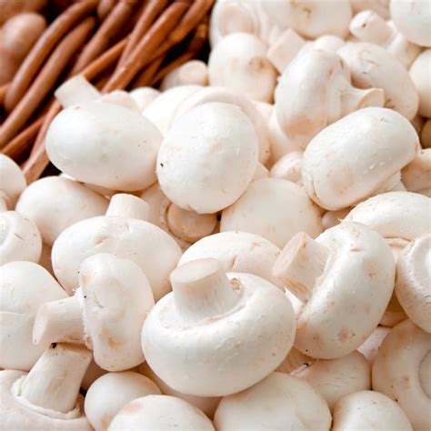 White Mushrooms